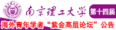 同性互插网站南京理工大学第十四届海外青年学者紫金论坛诚邀海内外英才！